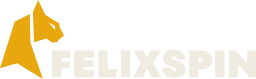 FelixSpin